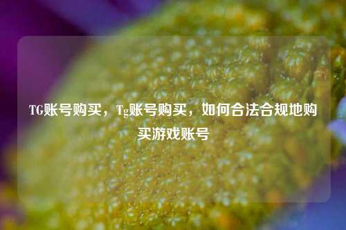 TG账号购买，Tg账号购买，如何合法合规地购买游戏账号