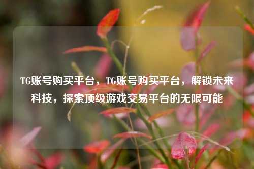 TG账号购买平台，TG账号购买平台，解锁未来科技，探索顶级游戏交易平台的无限可能