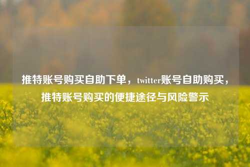 推特账号购买自助下单，twitter账号自助购买，推特账号购买的便捷途径与风险警示