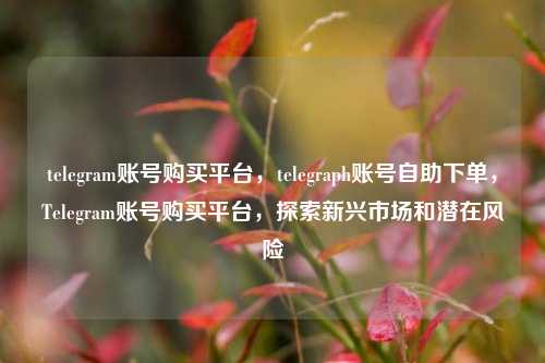 telegram账号购买平台，telegraph账号自助下单，Telegram账号购买平台，探索新兴市场和潜在风险
