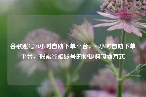 谷歌账号24小时自助下单平台，24小时自助下单平台，探索谷歌账号的便捷购物新方式