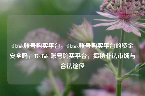 tiktok账号购买平台，tiktok账号购买平台的资金安全吗，TikTok 账号购买平台，揭秘非法市场与合法途径