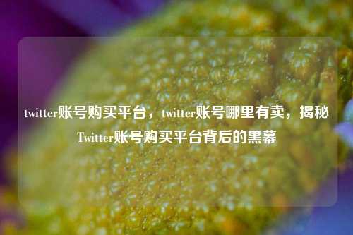 twitter账号购买平台，twitter账号哪里有卖，揭秘Twitter账号购买平台背后的黑幕