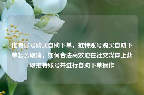 推特账号购买自助下单，推特账号购买自助下单怎么取消，如何合法高效地在社交媒体上获取推特账号并进行自助下单操作