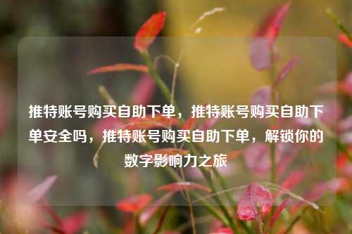 推特账号购买自助下单，推特账号购买自助下单安全吗，推特账号购买自助下单，解锁你的数字影响力之旅