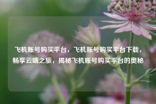 飞机账号购买平台，飞机账号购买平台下载，畅享云端之旅，揭秘飞机账号购买平台的奥秘