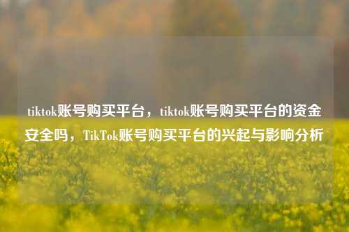 tiktok账号购买平台，tiktok账号购买平台的资金安全吗，TikTok账号购买平台的兴起与影响分析