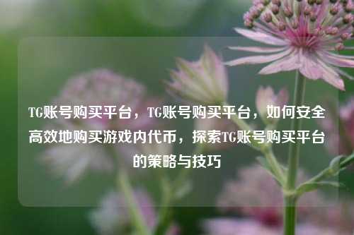 TG账号购买平台，TG账号购买平台，如何安全高效地购买游戏内代币，探索TG账号购买平台的策略与技巧
