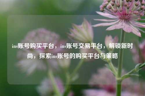 ins账号购买平台，ins账号交易平台，解锁新时尚，探索ins账号的购买平台与策略