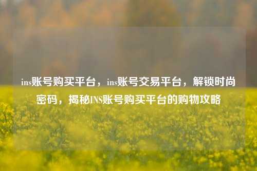 ins账号购买平台，ins账号交易平台，解锁时尚密码，揭秘INS账号购买平台的购物攻略