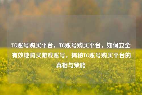 TG账号购买平台	，TG账号购买平台，如何安全有效地购买游戏账号，揭秘TG账号购买平台的真相与策略  第1张
