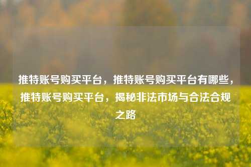 推特账号购买平台，推特账号购买平台有哪些，推特账号购买平台，揭秘非法市场与合法合规之路