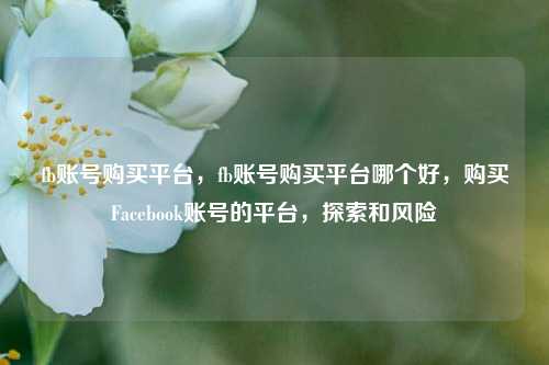 fb账号购买平台，fb账号购买平台哪个好，购买Facebook账号的平台，探索和风险