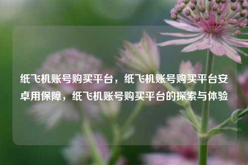 纸飞机账号购买平台，纸飞机账号购买平台安卓用保障，纸飞机账号购买平台的探索与体验
