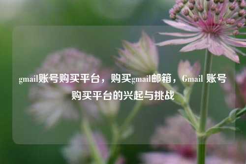 gmail账号购买平台，购买gmail邮箱，Gmail 账号购买平台的兴起与挑战