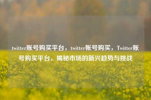 twitter账号购买平台，twitter帐号购买，Twitter账号购买平台，揭秘市场的新兴趋势与挑战