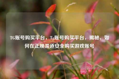 TG账号购买平台，Tg账号购买平台，揭秘，如何在正规渠道安全购买游戏账号