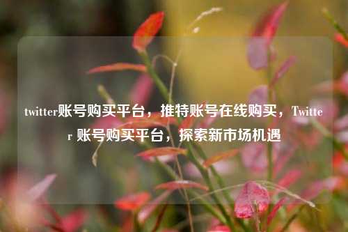 twitter账号购买平台，推特账号在线购买，Twitter 账号购买平台，探索新市场机遇