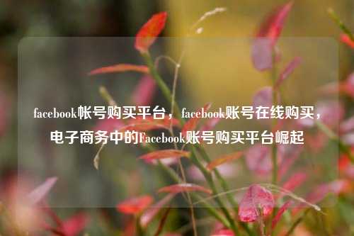 facebook帐号购买平台，facebook账号在线购买，电子商务中的Facebook账号购买平台崛起