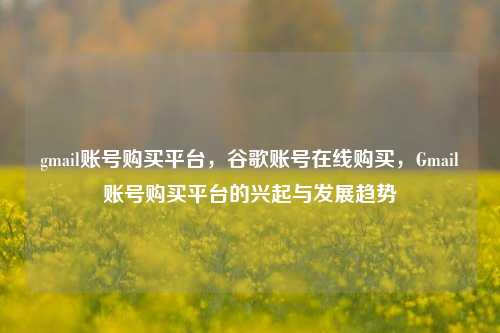 gmail账号购买平台，谷歌账号在线购买，Gmail账号购买平台的兴起与发展趋势
