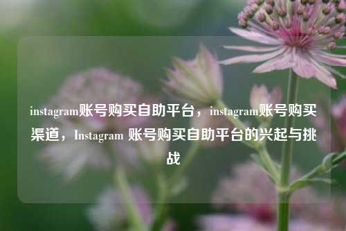 instagram账号购买自助平台，instagram账号购买渠道，Instagram 账号购买自助平台的兴起与挑战