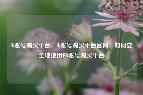 fb账号购买平台，fb账号购买平台官网，如何安全地使用FB账号购买平台