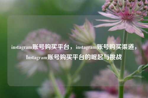 instagram账号购买平台，instagram账号购买渠道，Instagram账号购买平台的崛起与挑战