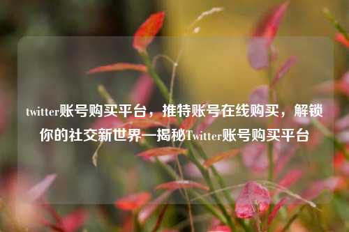 twitter账号购买平台，推特账号在线购买，解锁你的社交新世界—揭秘Twitter账号购买平台