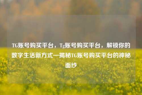 TG账号购买平台，Tg账号购买平台，解锁你的数字生活新方式—揭秘TG账号购买平台的神秘面纱  第1张
