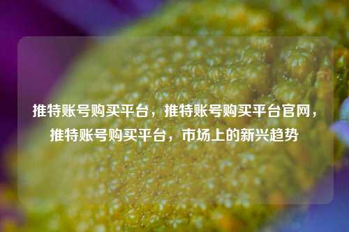 推特账号购买平台，推特账号购买平台官网，推特账号购买平台，市场上的新兴趋势