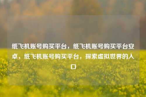 纸飞机账号购买平台，纸飞机账号购买平台安卓，纸飞机账号购买平台，探索虚拟世界的入口
