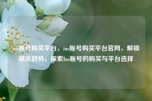 ins账号购买平台，ins账号购买平台官网，解锁潮流趋势，探索Ins账号的购买与平台选择