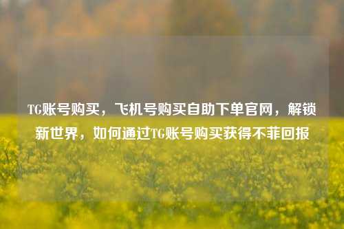 TG账号购买，飞机号购买自助下单官网，解锁新世界，如何通过TG账号购买获得不菲回报