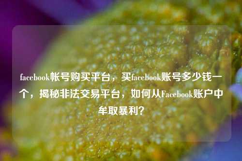 facebook帐号购买平台，买facebook账号多少钱一个，揭秘非法交易平台，如何从Facebook账户中牟取暴利？