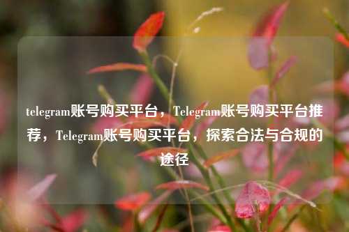 telegram账号购买平台，Telegram账号购买平台推荐，Telegram账号购买平台，探索合法与合规的途径