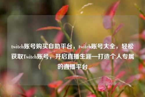twitch账号购买自助平台，twitch账号大全，轻松获取Twitch账号，开启直播生涯—打造个人专属的直播平台