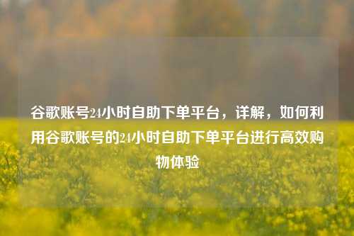 谷歌账号24小时自助下单平台，详解，如何利用谷歌账号的24小时自助下单平台进行高效购物体验