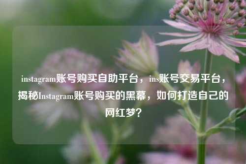 instagram账号购买自助平台，ins账号交易平台，揭秘Instagram账号购买的黑幕，如何打造自己的网红梦？