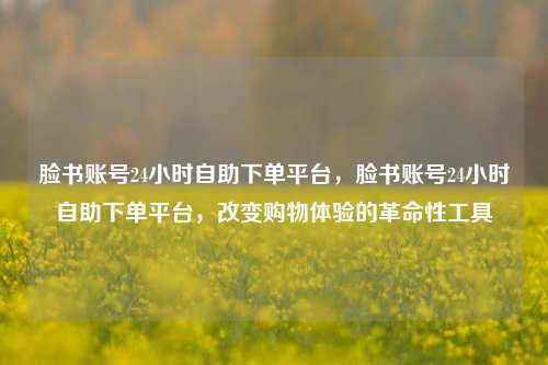 脸书账号24小时自助下单平台，脸书账号24小时自助下单平台，改变购物体验的革命性工具