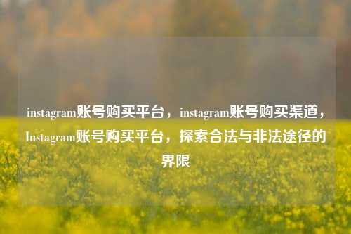 instagram账号购买平台，instagram账号购买渠道，Instagram账号购买平台，探索合法与非法途径的界限