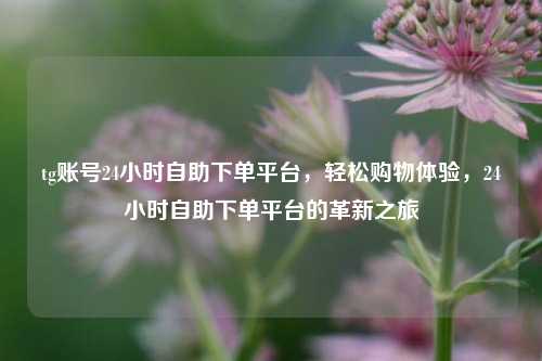 tg账号24小时自助下单平台，轻松购物体验，24小时自助下单平台的革新之旅