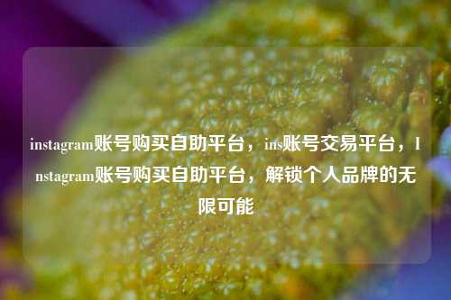 instagram账号购买自助平台，ins账号交易平台，Instagram账号购买自助平台，解锁个人品牌的无限可能