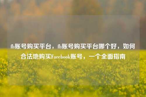 fb账号购买平台，fb账号购买平台哪个好，如何合法地购买Facebook账号，一个全面指南