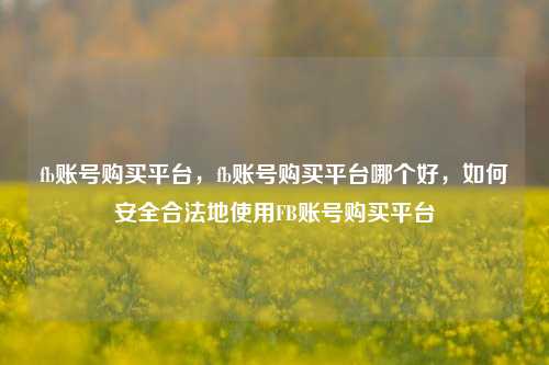 fb账号购买平台，fb账号购买平台哪个好，如何安全合法地使用FB账号购买平台