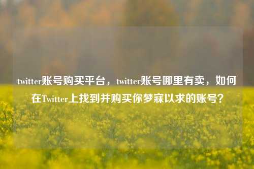 twitter账号购买平台，twitter账号哪里有卖，如何在Twitter上找到并购买你梦寐以求的账号？
