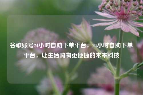 谷歌账号24小时自助下单平台，24小时自助下单平台，让生活购物更便捷的未来科技