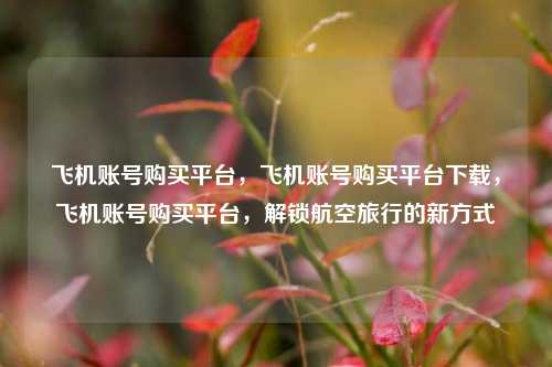 飞机账号购买平台，飞机账号购买平台下载，飞机账号购买平台，解锁航空旅行的新方式