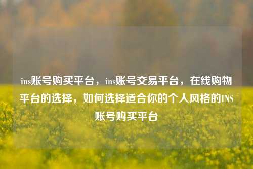 ins账号购买平台，ins账号交易平台，在线购物平台的选择，如何选择适合你的个人风格的INS账号购买平台