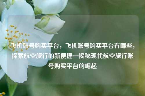 飞机账号购买平台，飞机账号购买平台有哪些，探索航空旅行的新便捷—揭秘现代航空旅行账号购买平台的崛起