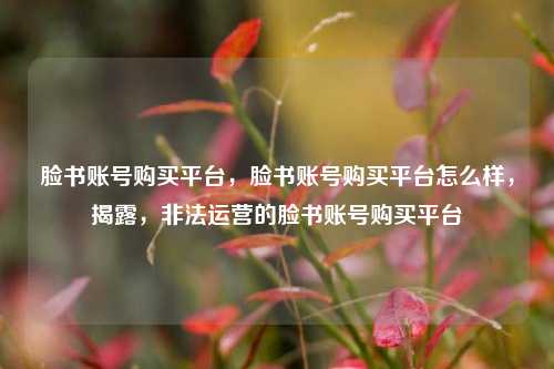 脸书账号购买平台，脸书账号购买平台怎么样，揭露，非法运营的脸书账号购买平台